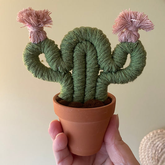 Small Macrame Cactus ***older style***