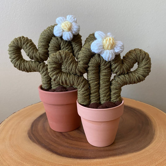 Macrame Forever Cactus (small & medium)