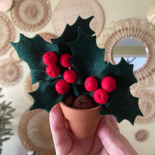 Holiday Holly: December Birth Month Flower