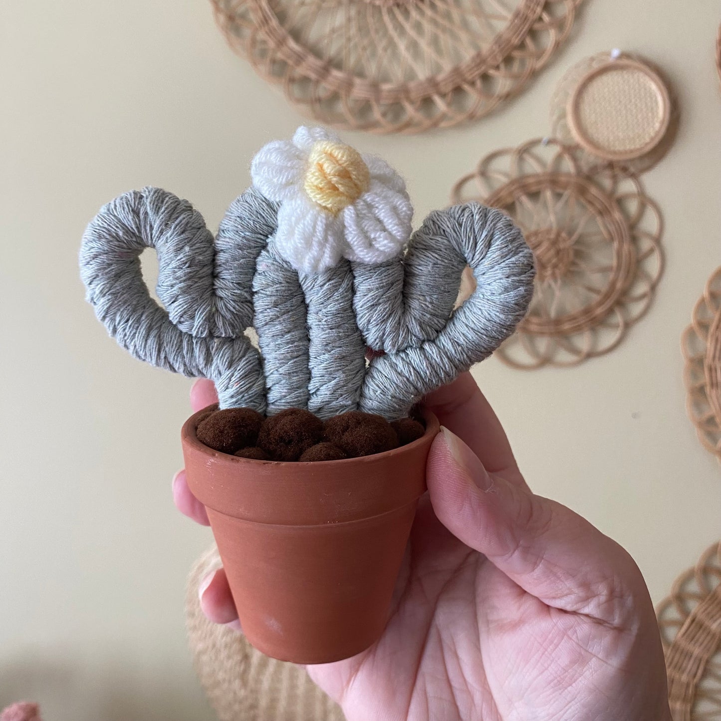 Small Macrame Cactus ***older colour***