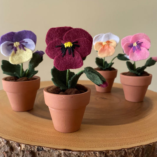 Pansy (Felt)