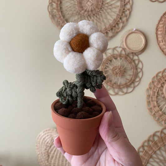 Pompom Flower - Single ***discontinued colour***