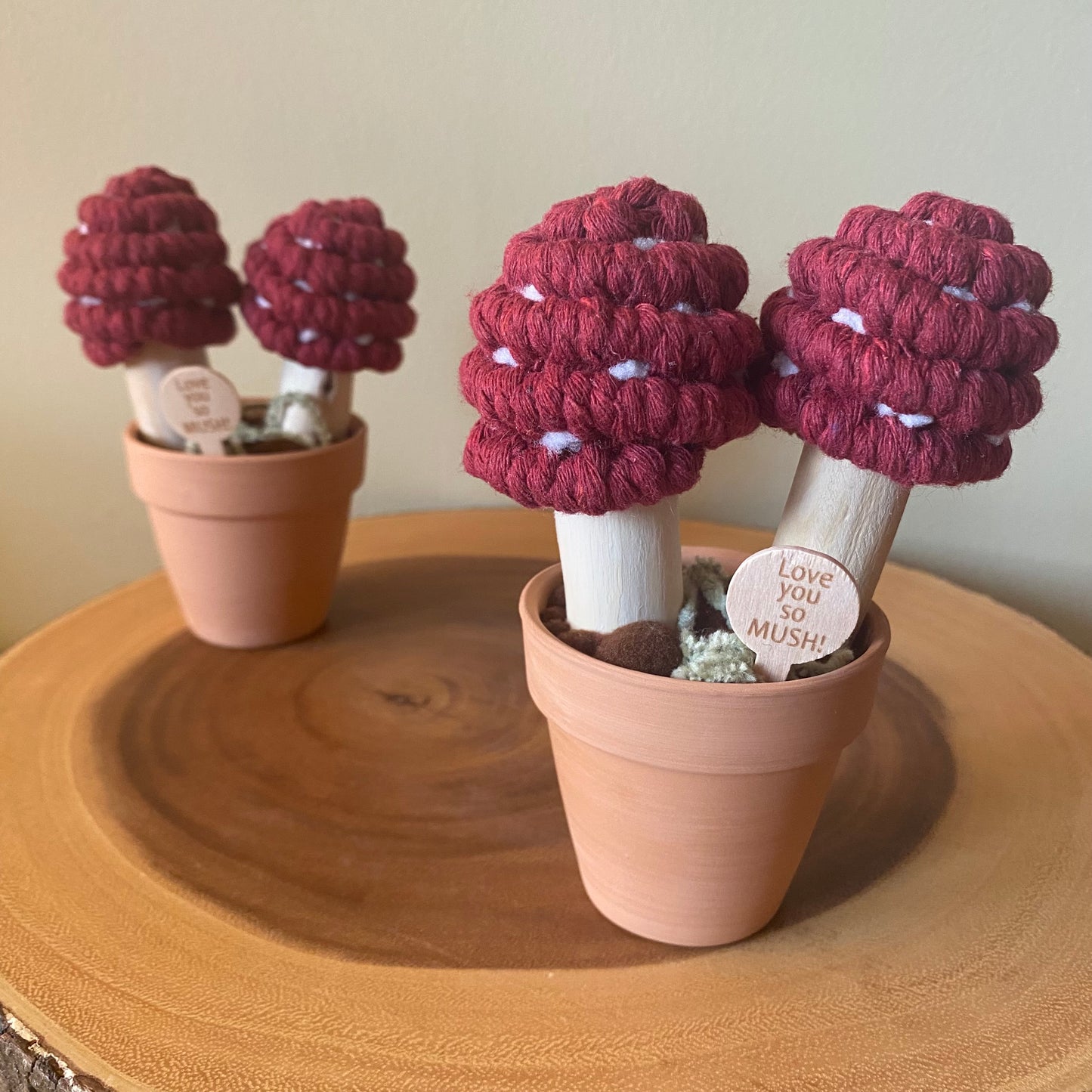 Macrame Mushrooms “Love you So Mush”