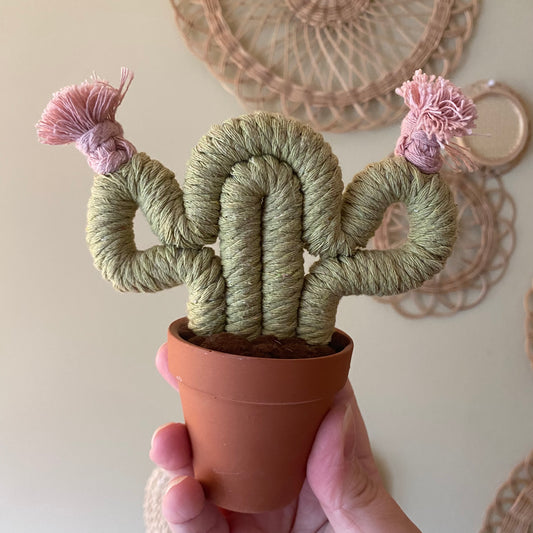 Small Macrame Cactus ***older style***