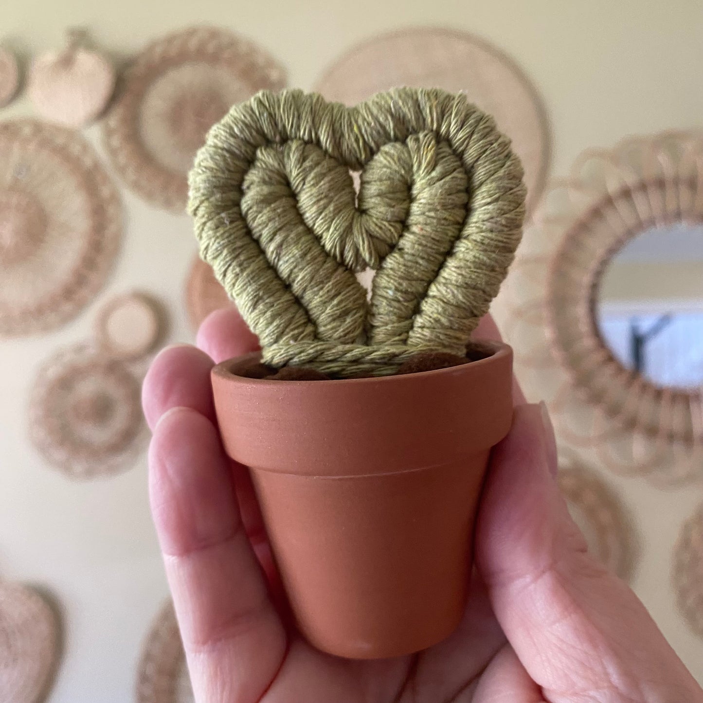 Hoya Heart Macrame Cactus