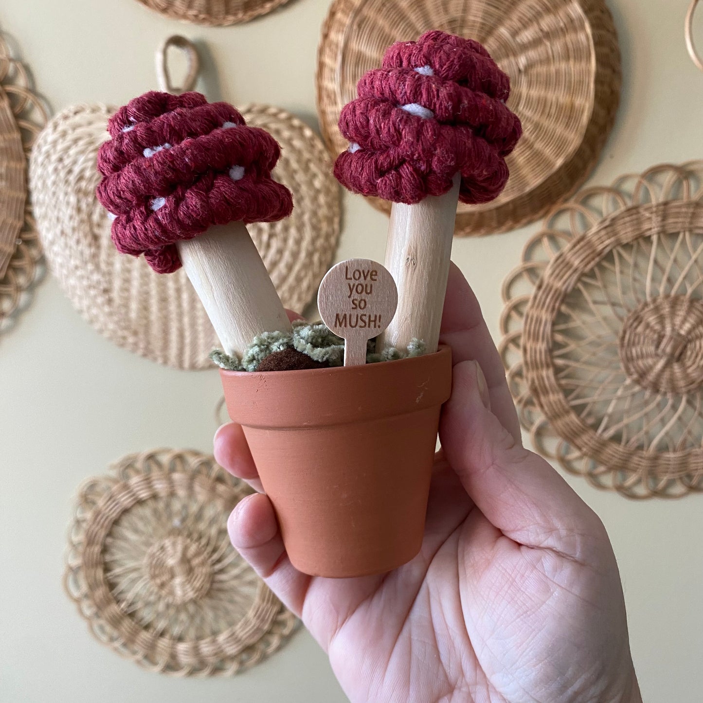 Macrame Mushrooms “Love you So Mush”