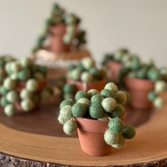 Mini String of Pearls
