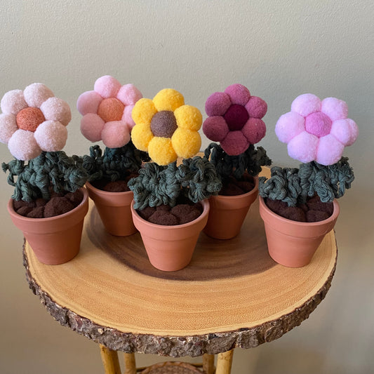 Pompom Flower - Single