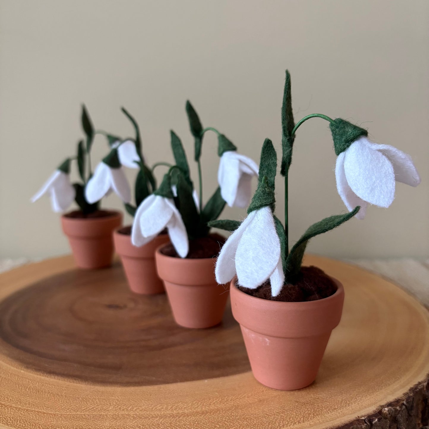 Snow Drop: January Birth Month Flower