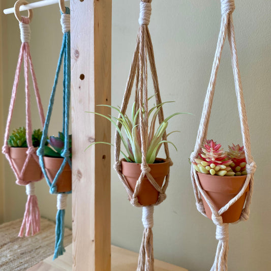 Mini Simple Plant Hanger with Plant/Car Mirror Decor