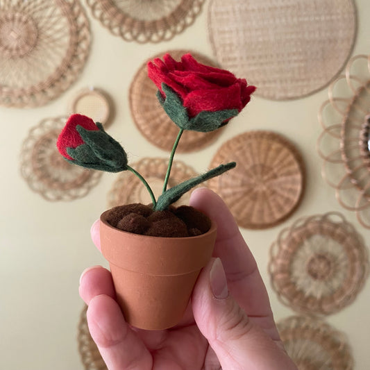 Rose (discontinued style)