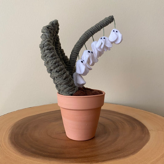 Ghost Lily of the Valley