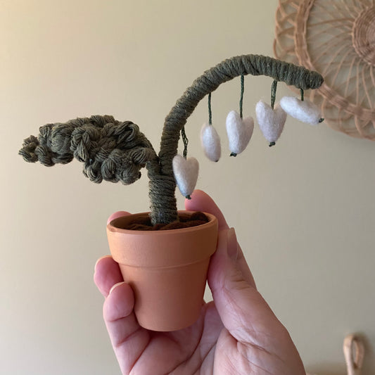 Bleeding Heart (older style)