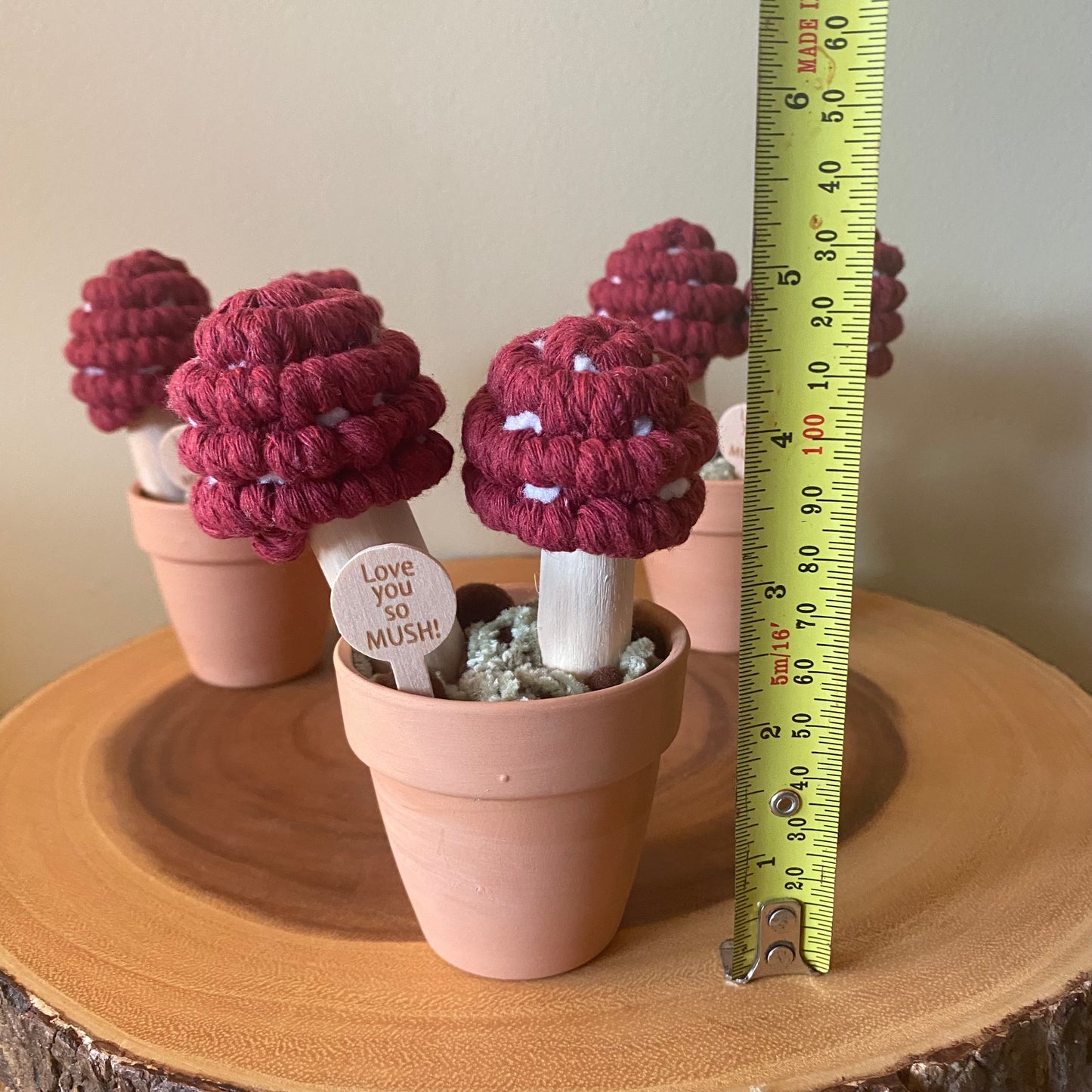 Macrame Mushrooms “Love you So Mush”