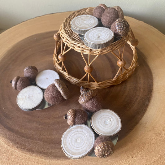Acorn/ Wood Slice Magnet Set