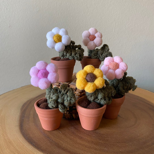 Pompom Flower - Mini
