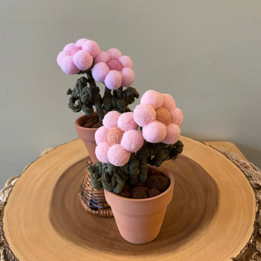 Pompom Flower - Double