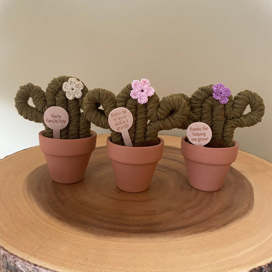 “You’re Fan-Cactus” & “Thanks…” Macrame Forever Cactus (mini)