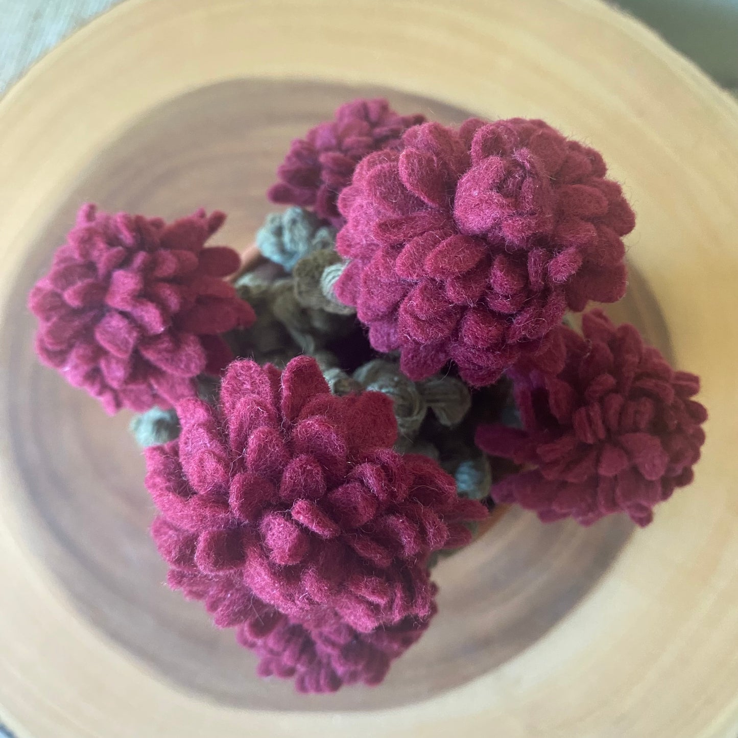 Sangria Chrysanthemum