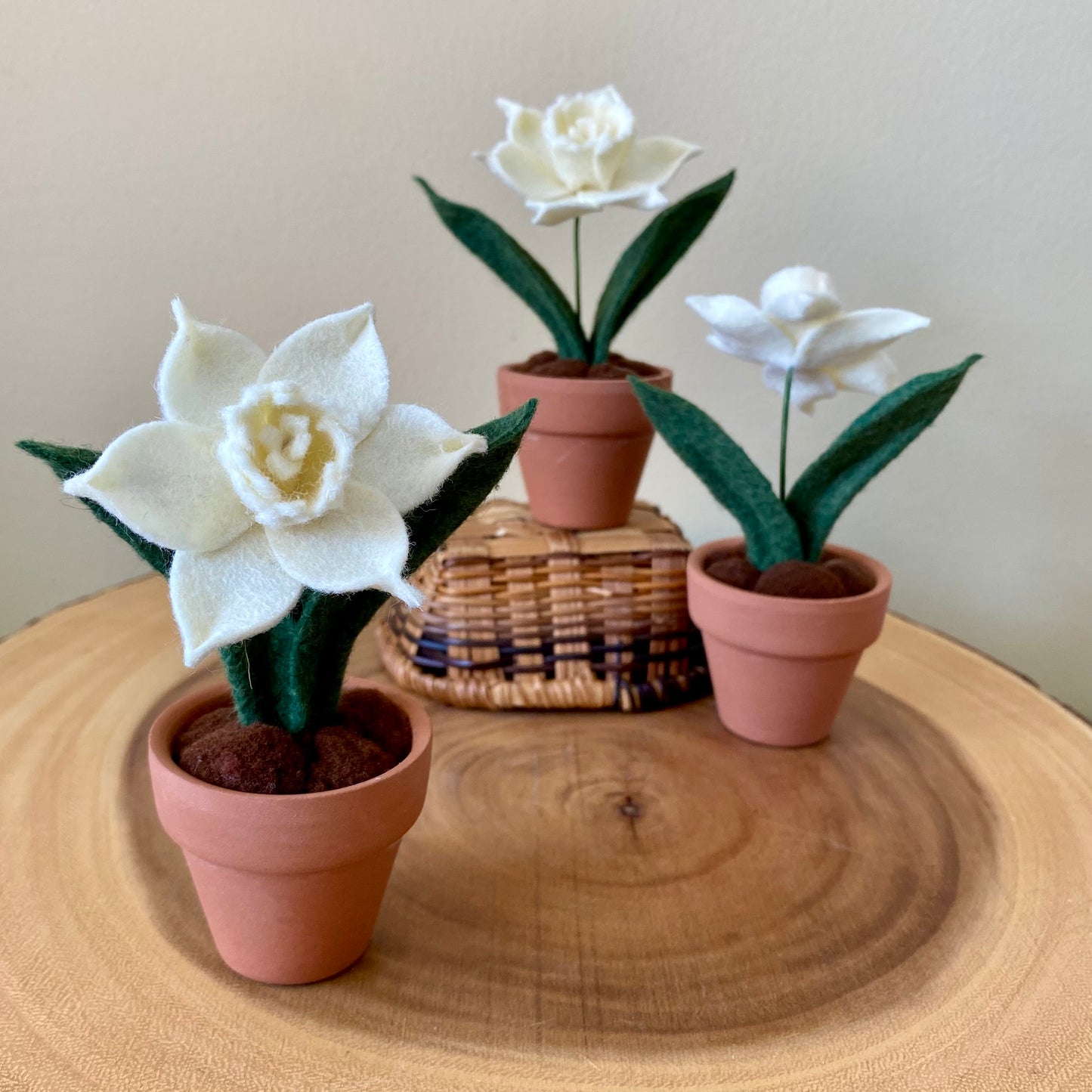 Narcissus: December Birth Month Flowers