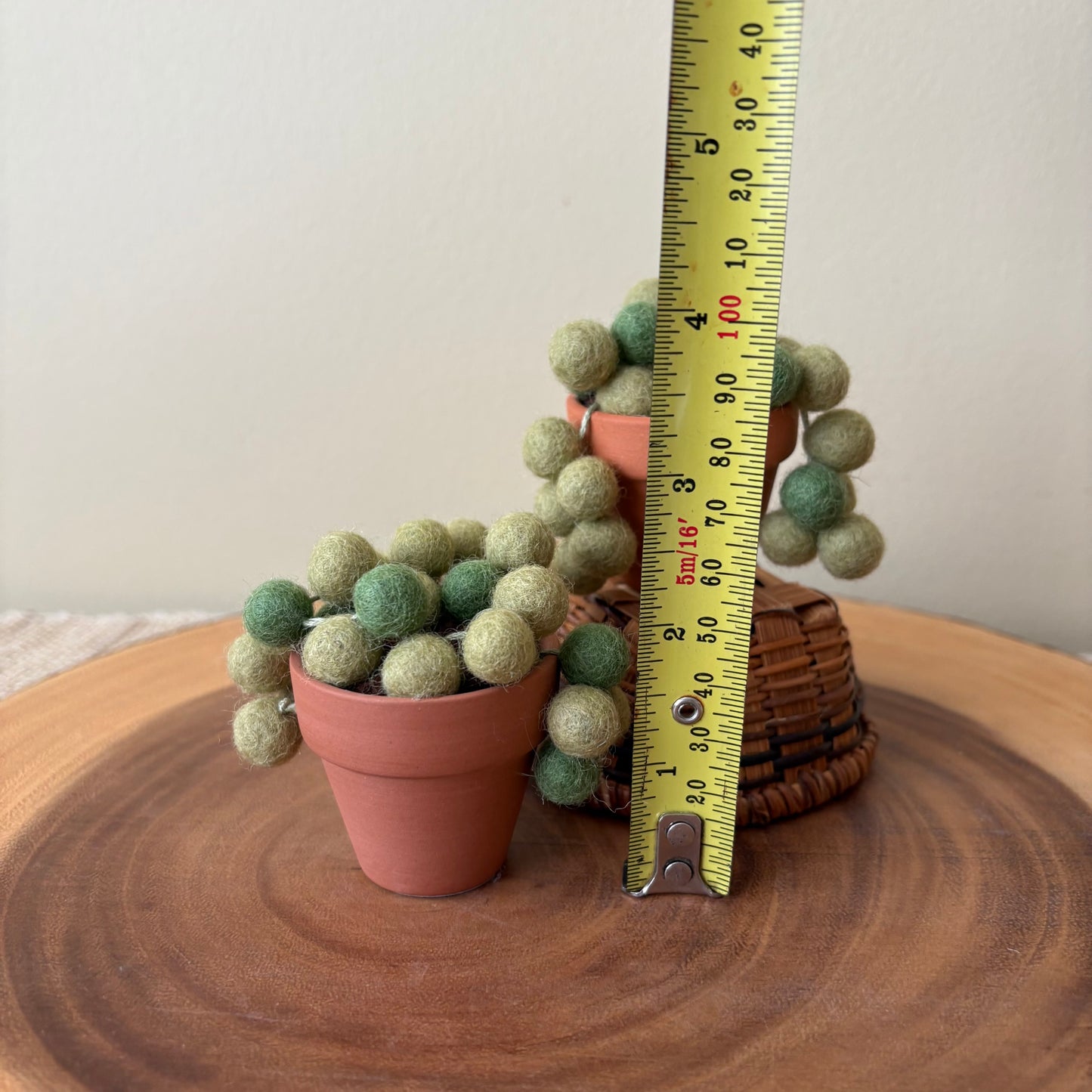 String of Pearls