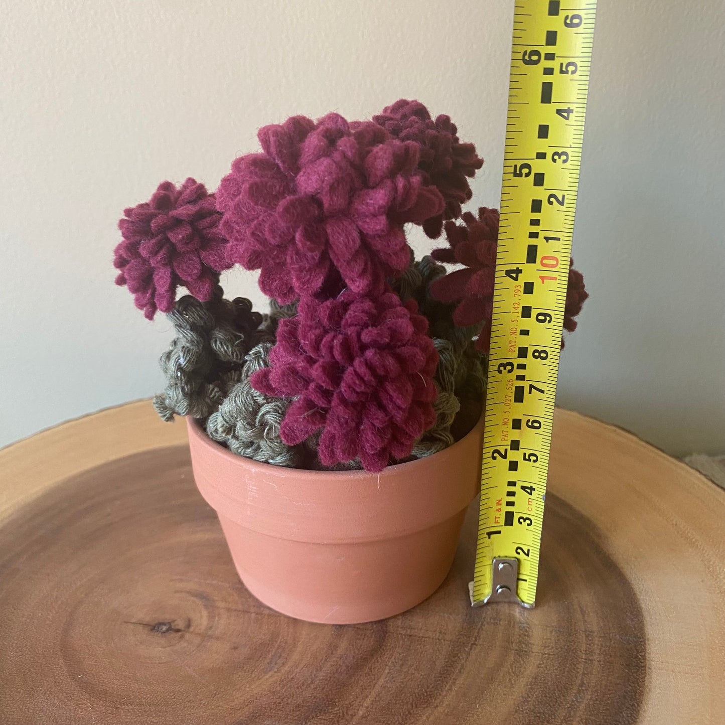 Sangria Chrysanthemum