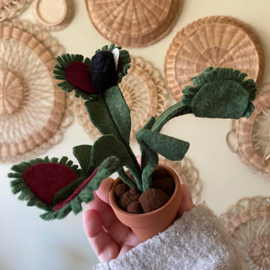 Felt Venus Fly Tray with Removeable Macrame Fly