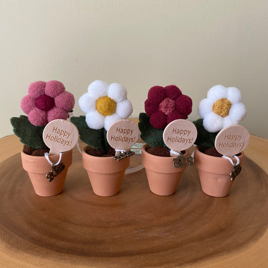 Holiday Hanging Potted Mini Flower