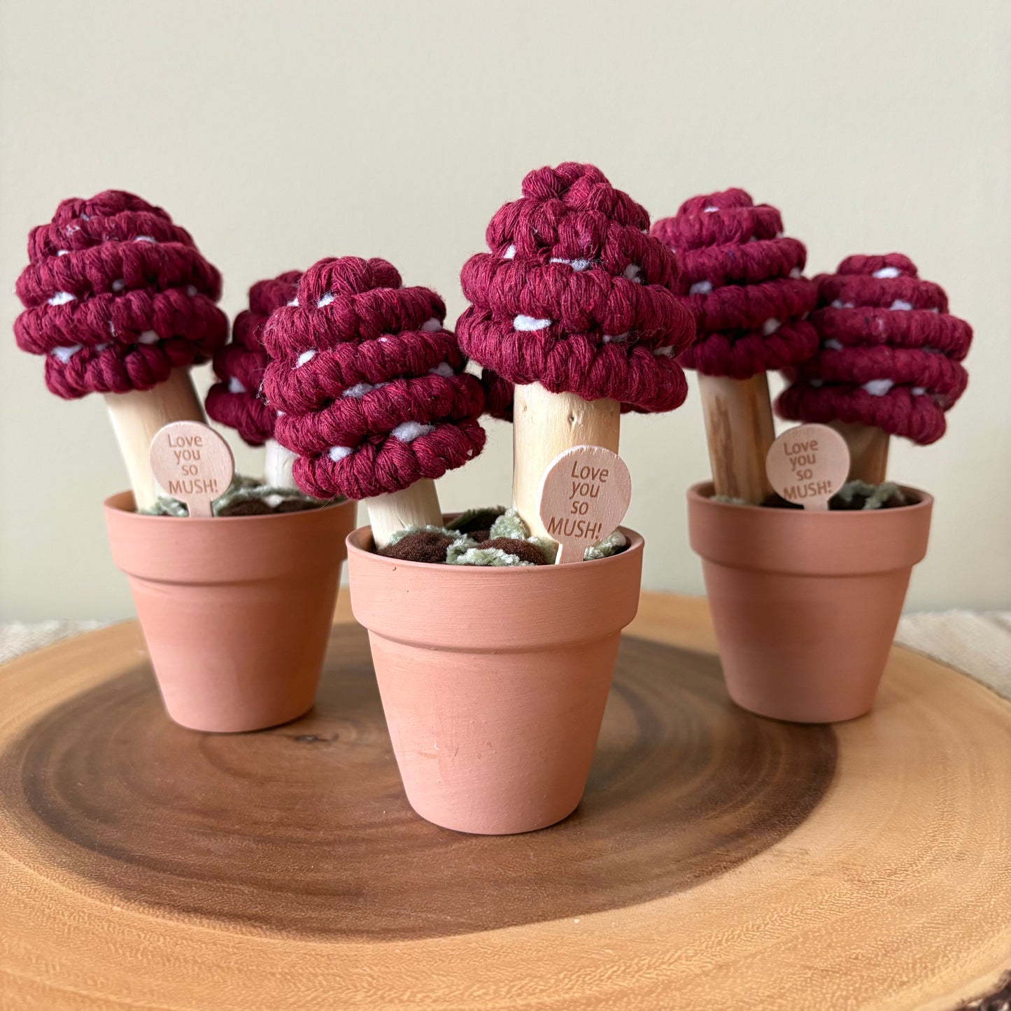 Macrame Mushrooms “Love you So Mush”