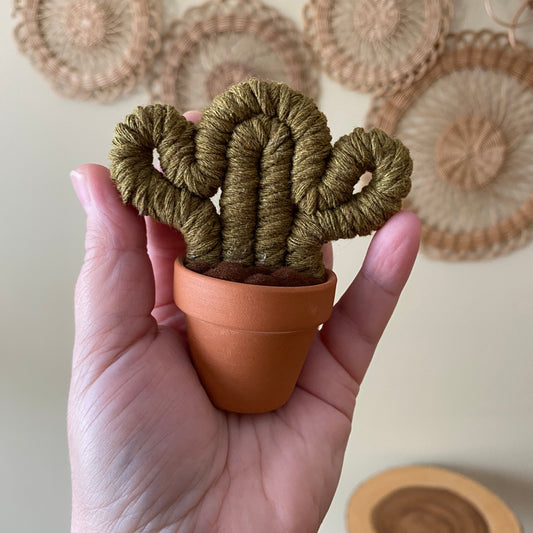Macrame Forever Cactus (mini)