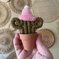 Cactus - Mini with Hat