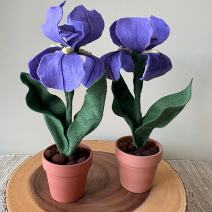 Felt Iris in Purple or Blue