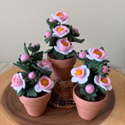 Hawthorne: May Birth Month Felt Flower