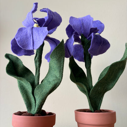 Felt Iris in Purple or Blue