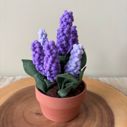 Handmade Felt & Fibre Grape Hyacinth in Terracotta Pot