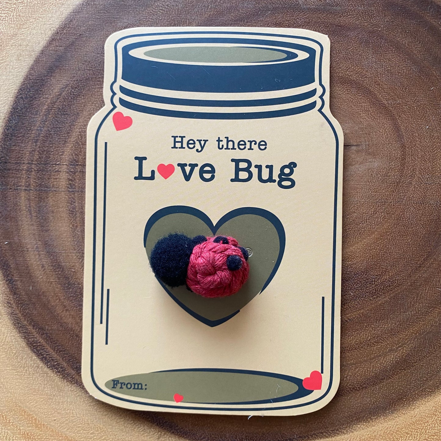 Valentine Card/Plant Charm/Macrame Bug Magnet