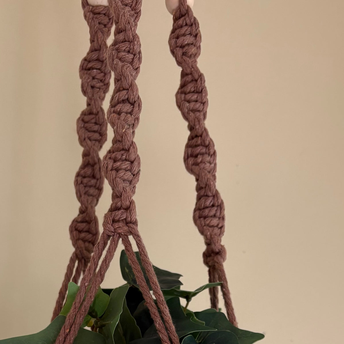 Macrame Spiral Plant Hanger