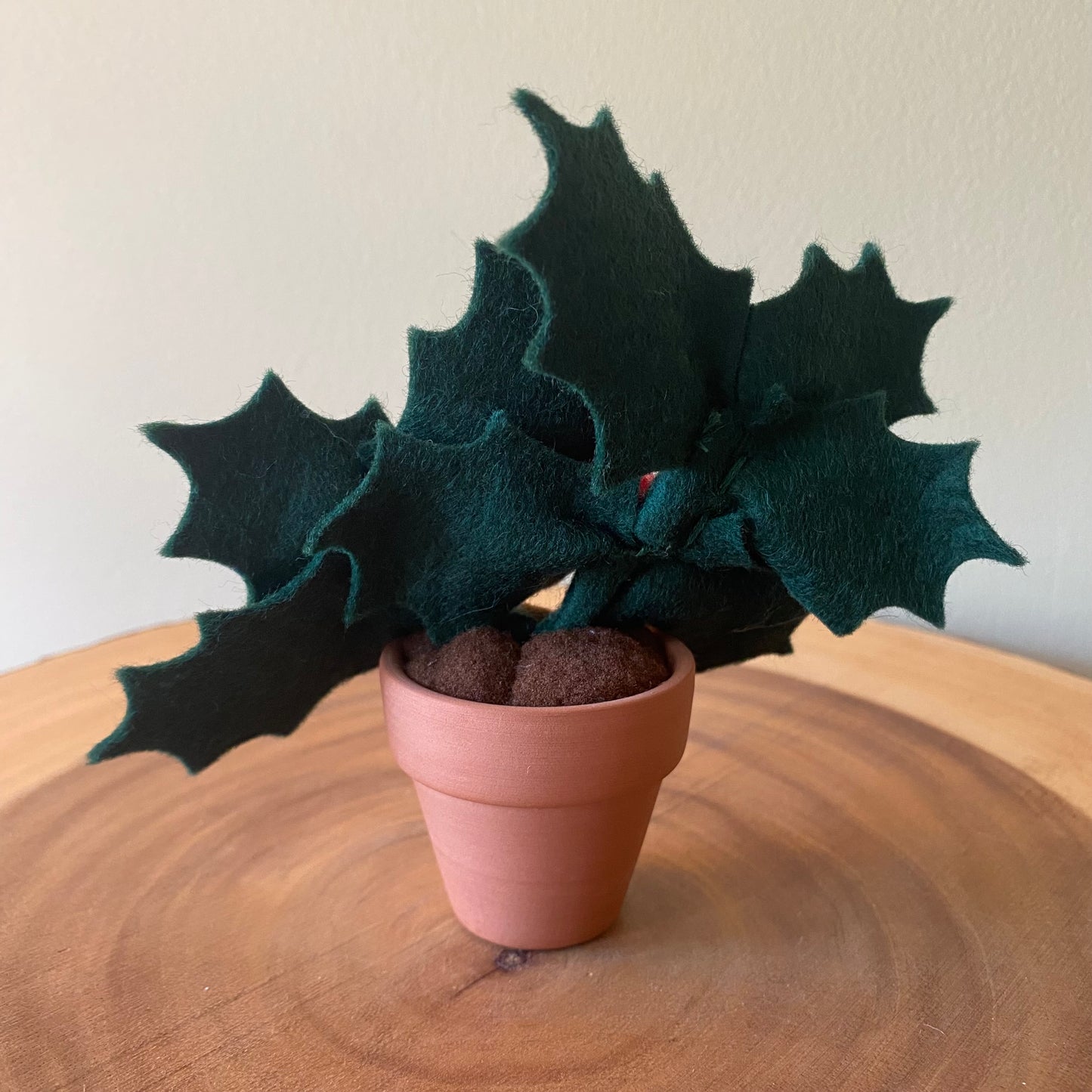 Holiday Holly: December Birth Month Flower
