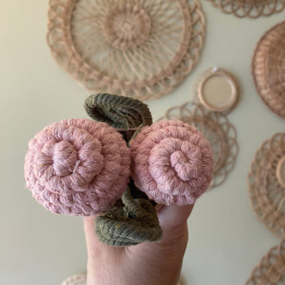 Macrame Mushrooms ***older style***