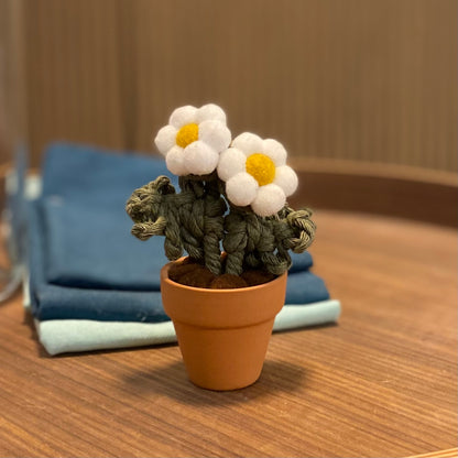 Pompom Flower - Double Mini
