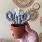 Small Macrame Cactus ***older colour***