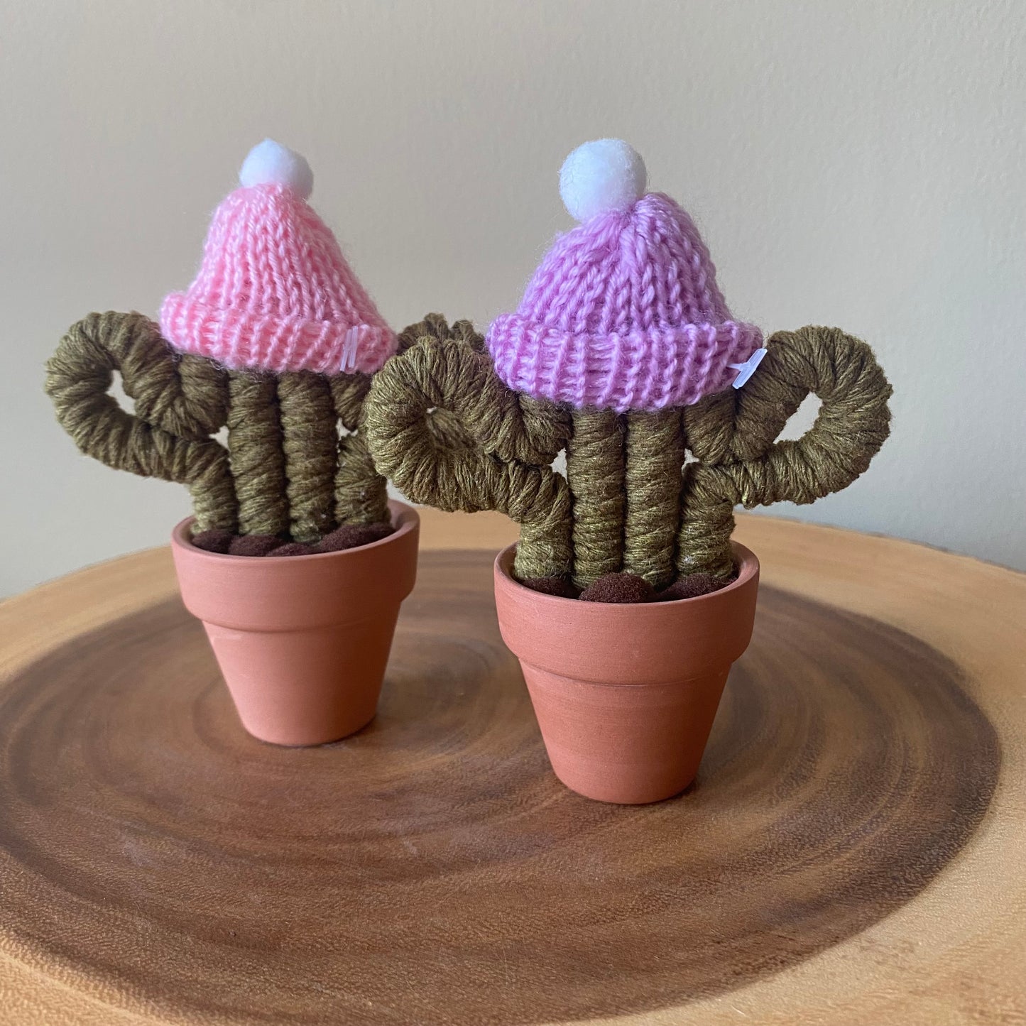 Cactus - Mini with Hat