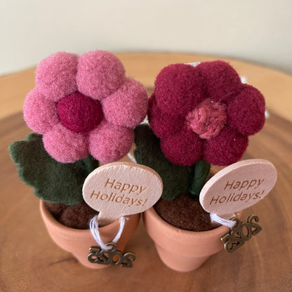 Holiday Hanging Potted Mini Flower