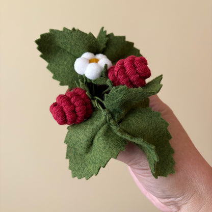 Strawberry Felt Plant: Macrame and Felt