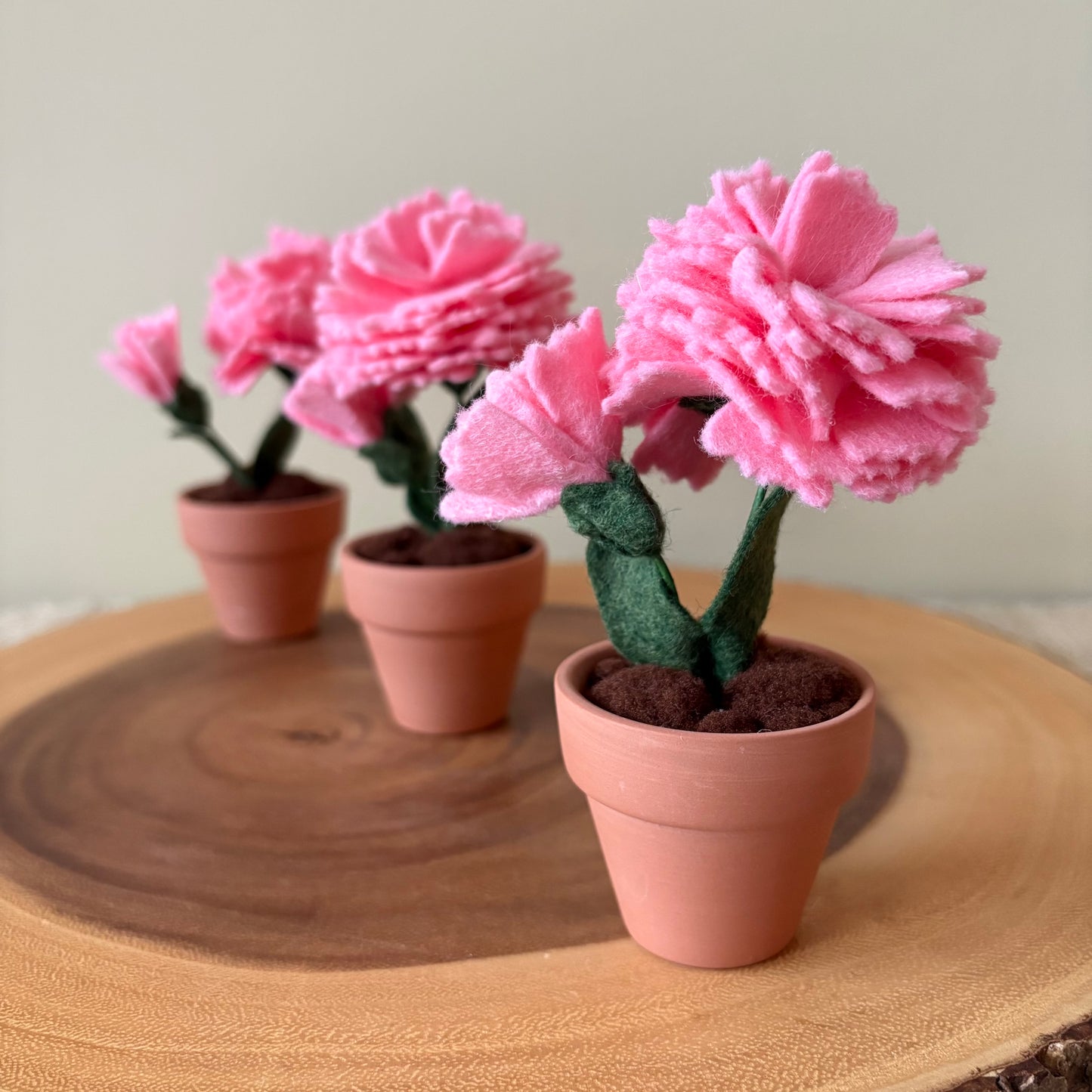 Carnation: January Birth Month Flower