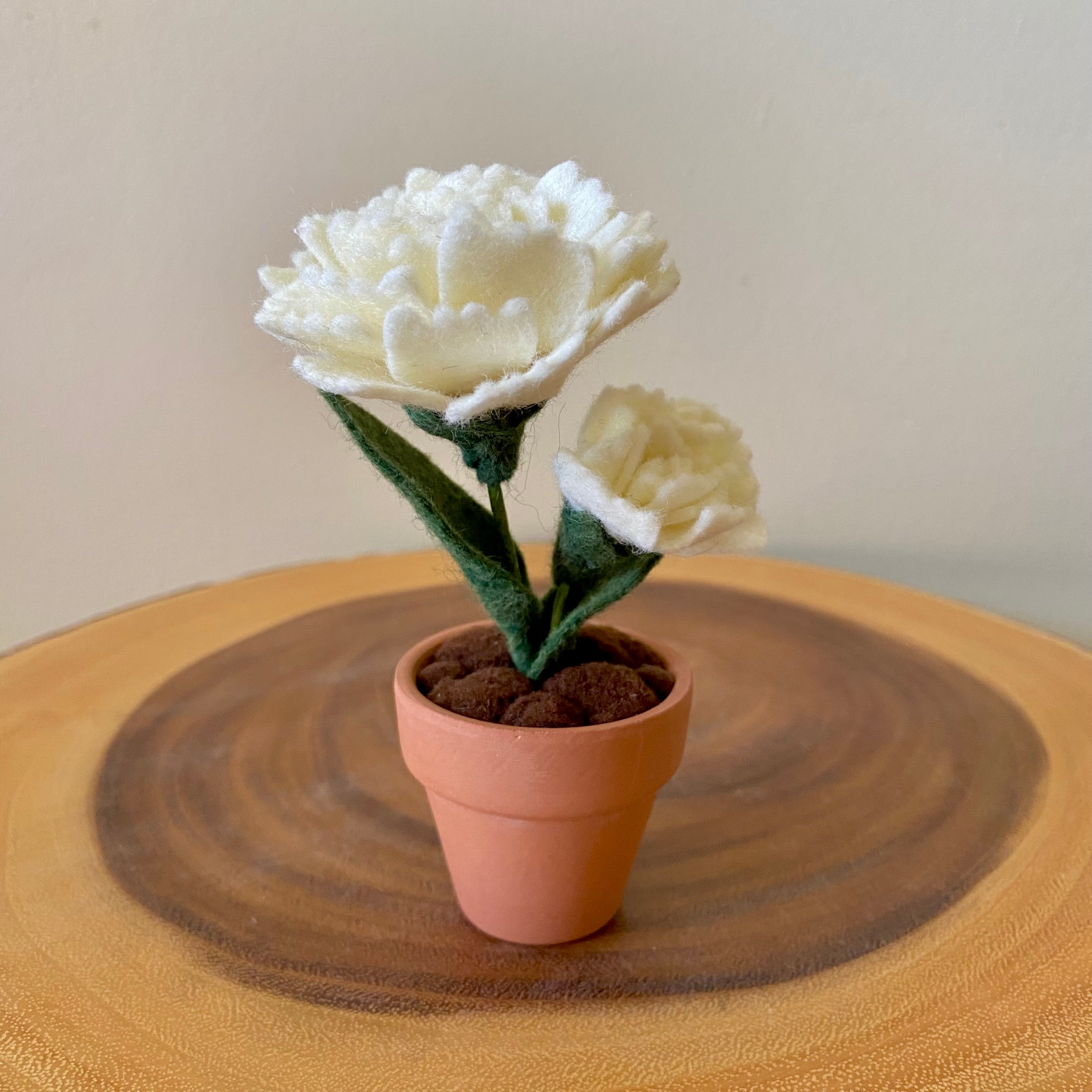 カーネーション / Young Wise Men Carnation Carnation: January Birth Month Flower – ForgetBKnot
