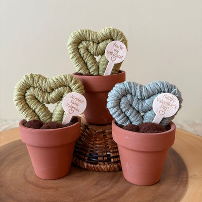 Hoya Heart Macrame Cactus