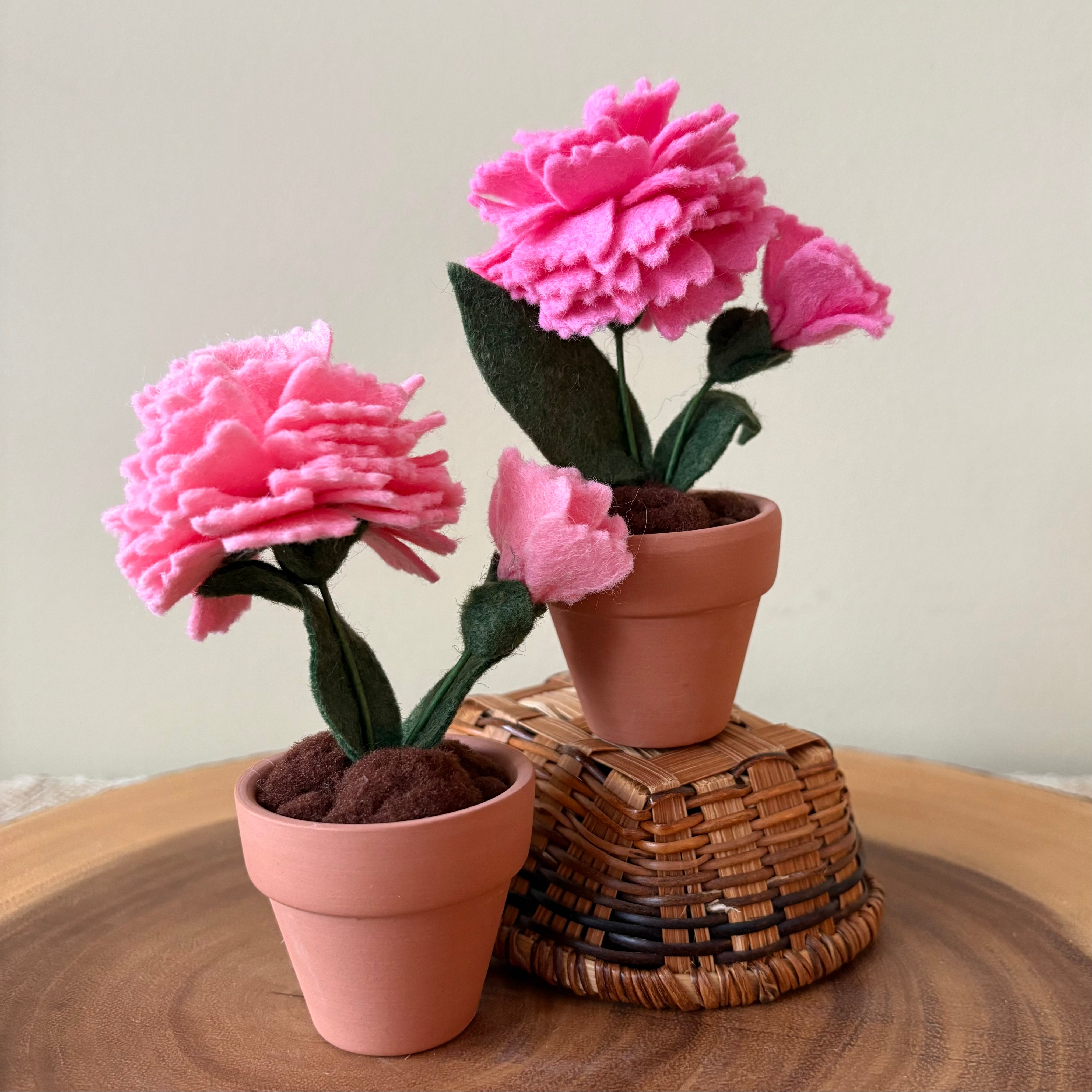 カーネーション / Young Wise Men Carnation Carnation: January Birth Month Flower – ForgetBKnot