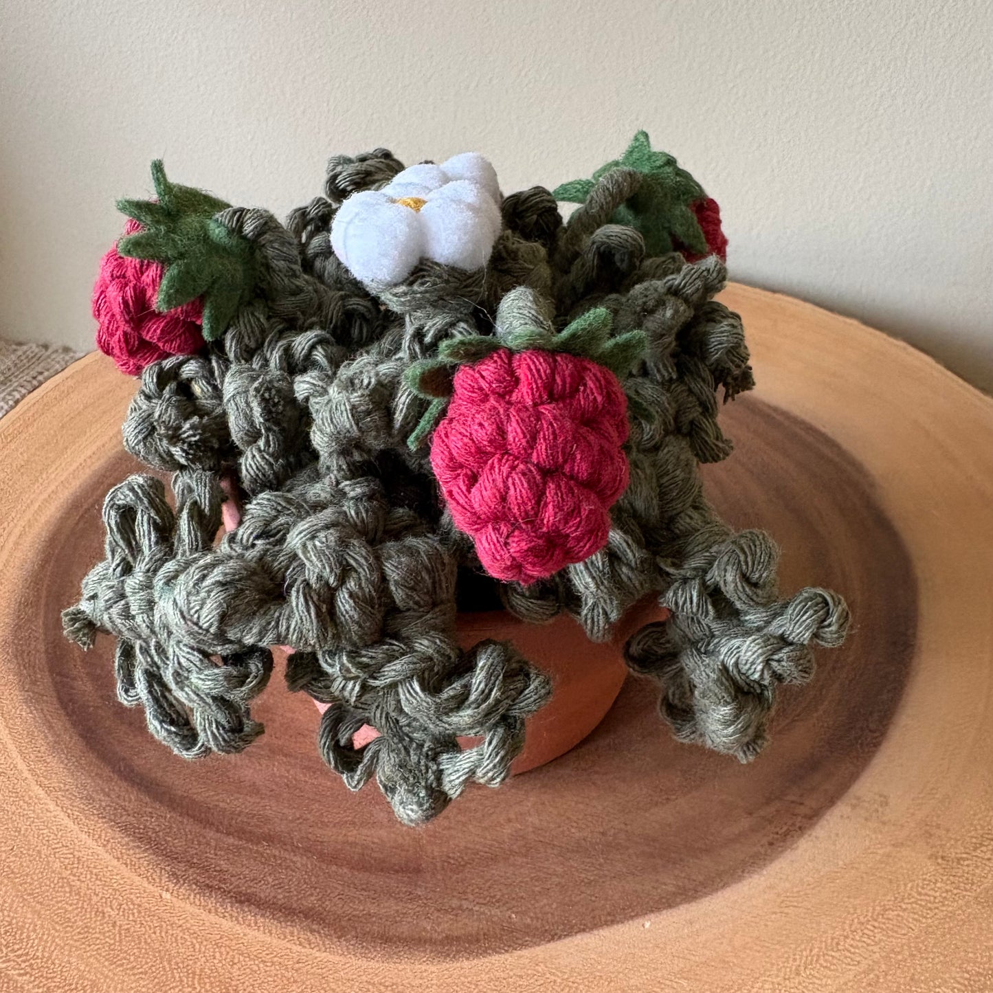 Strawberry Plant: Macrame and Felt