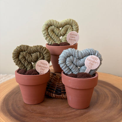 Hoya Heart Macrame Cactus